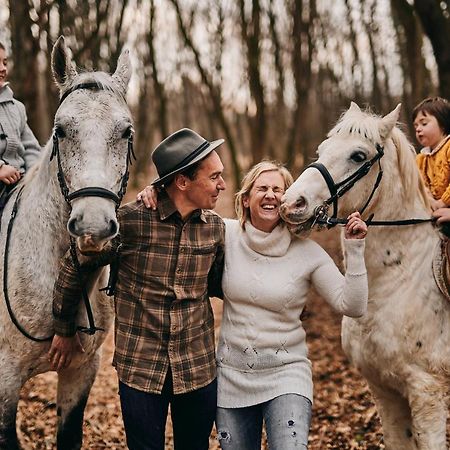 Tmbin'S Barn - Nature, Horses, Family Sežana Dış mekan fotoğraf
