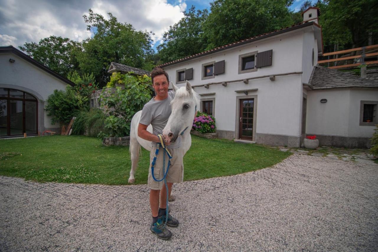 Tmbin'S Barn - Nature, Horses, Family Sežana Dış mekan fotoğraf