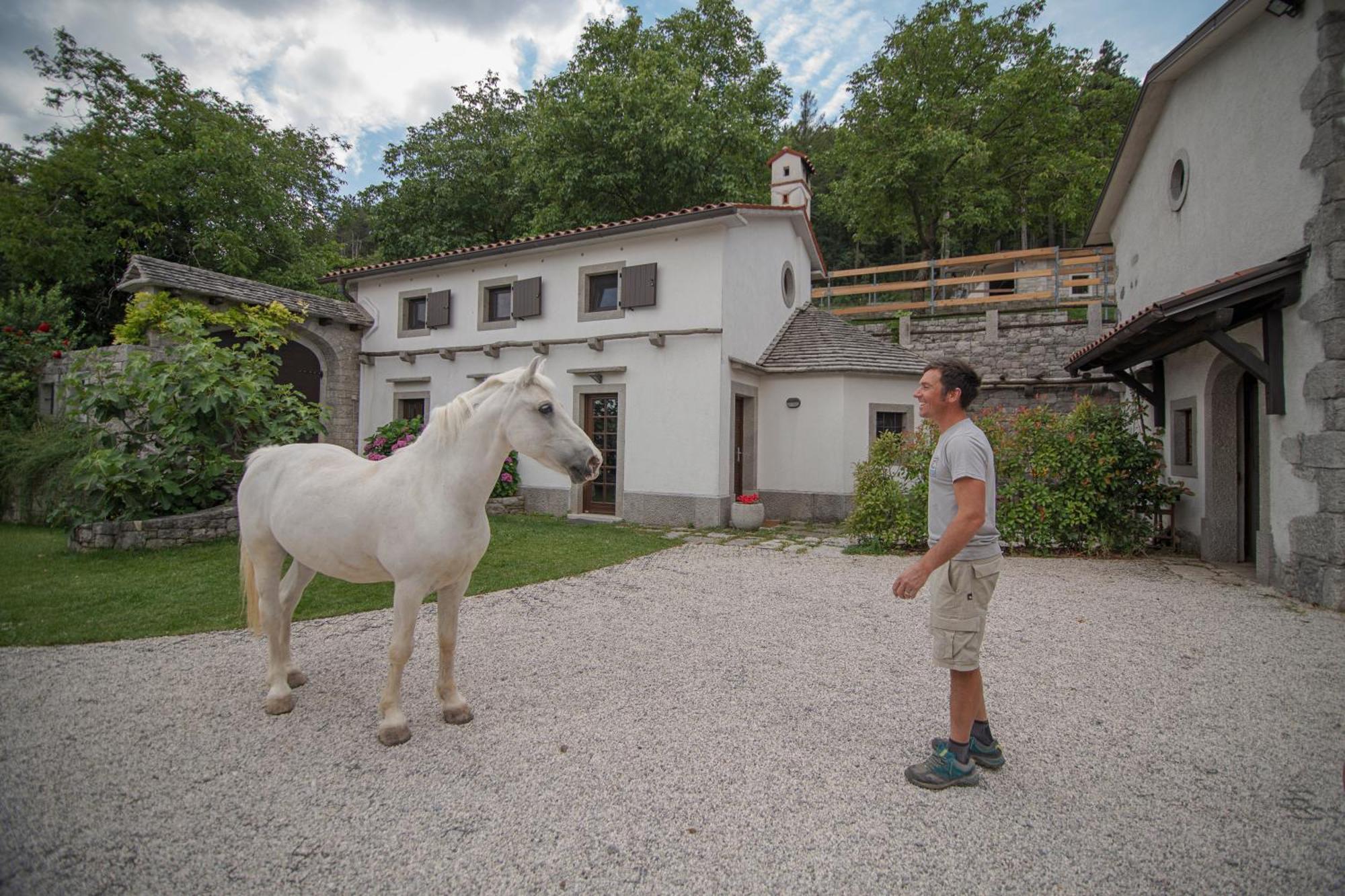 Tmbin'S Barn - Nature, Horses, Family Sežana Dış mekan fotoğraf